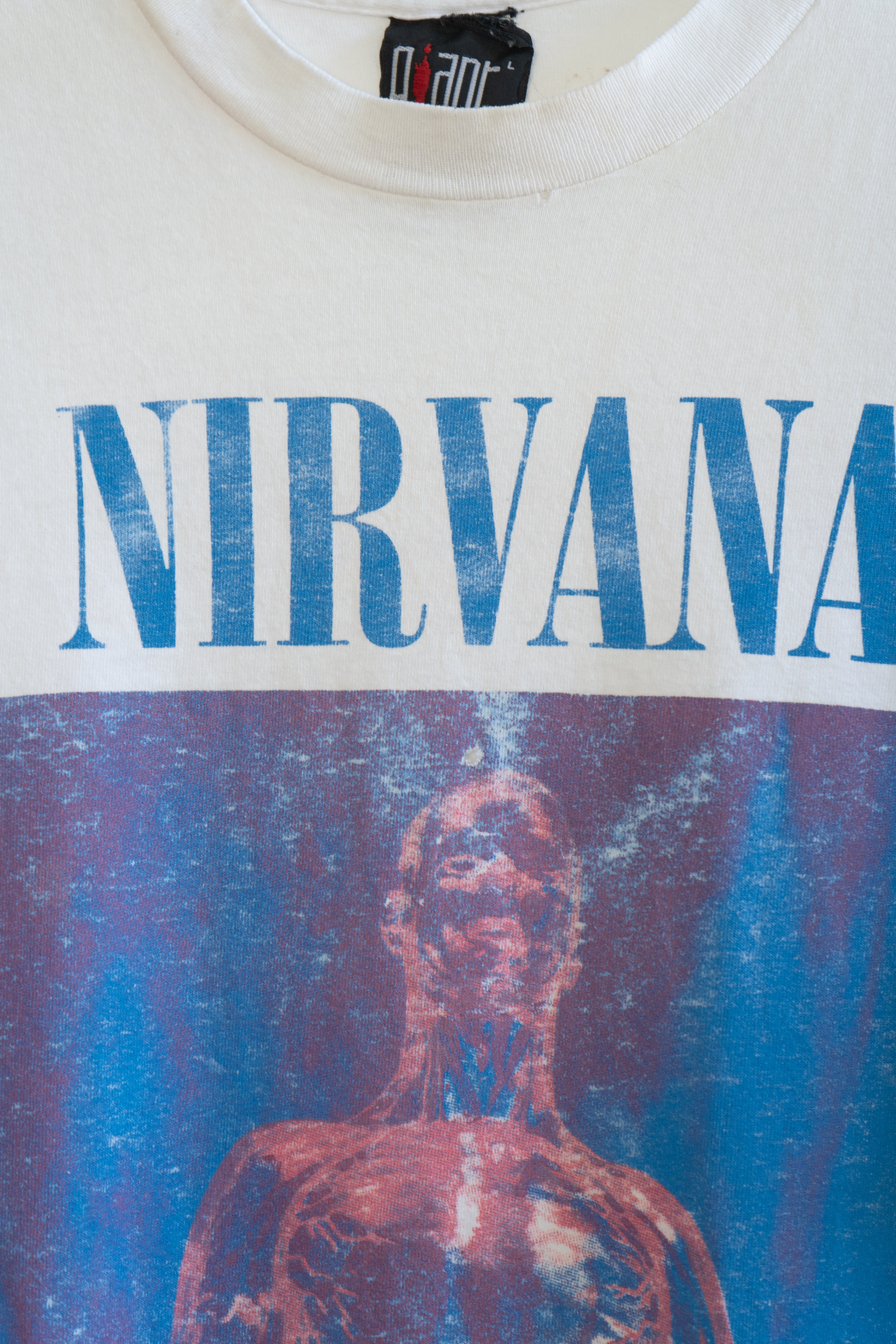 1991 Nirvana "Sliver"