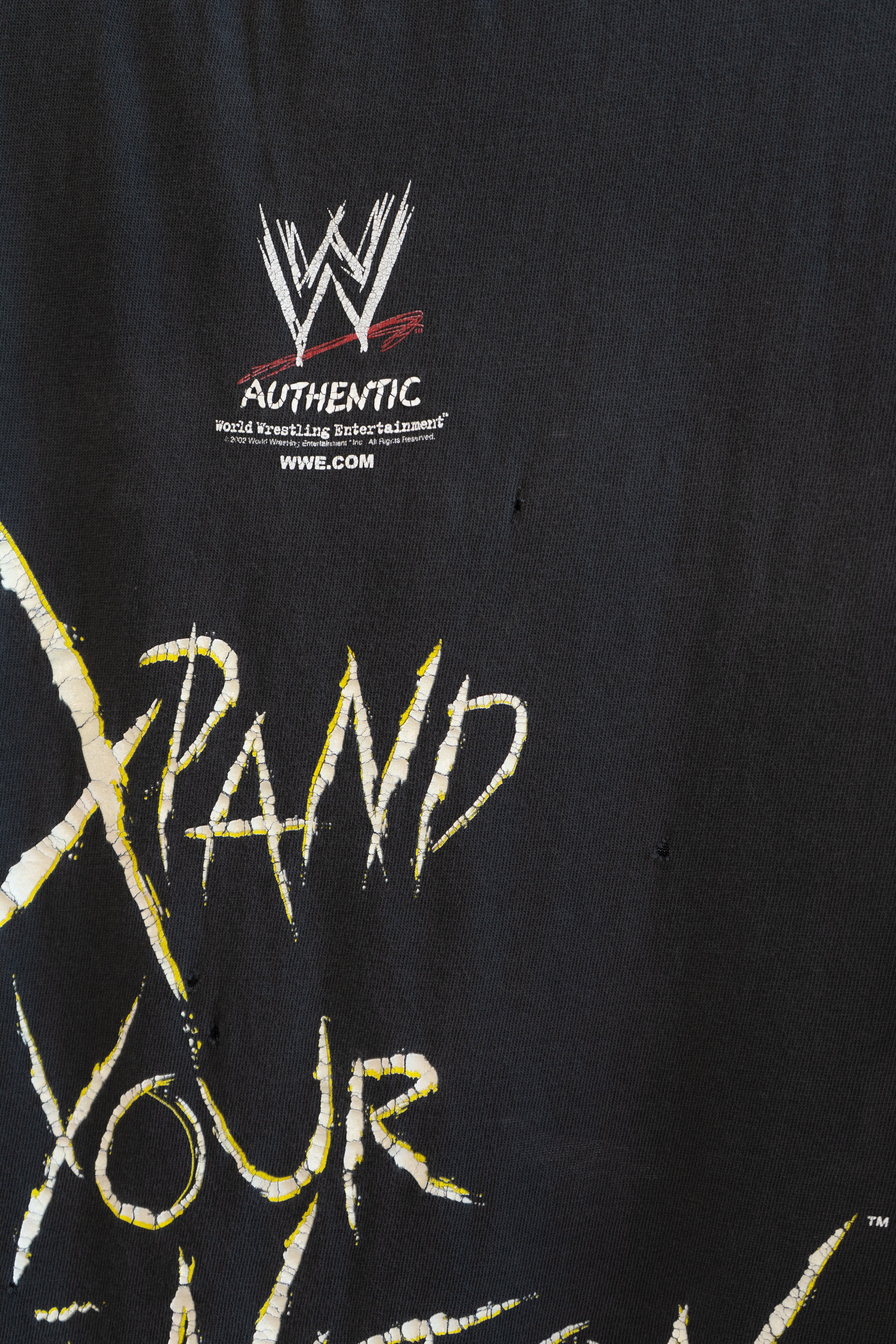 2002 Jeff Hardy "XPand Your Imagination"