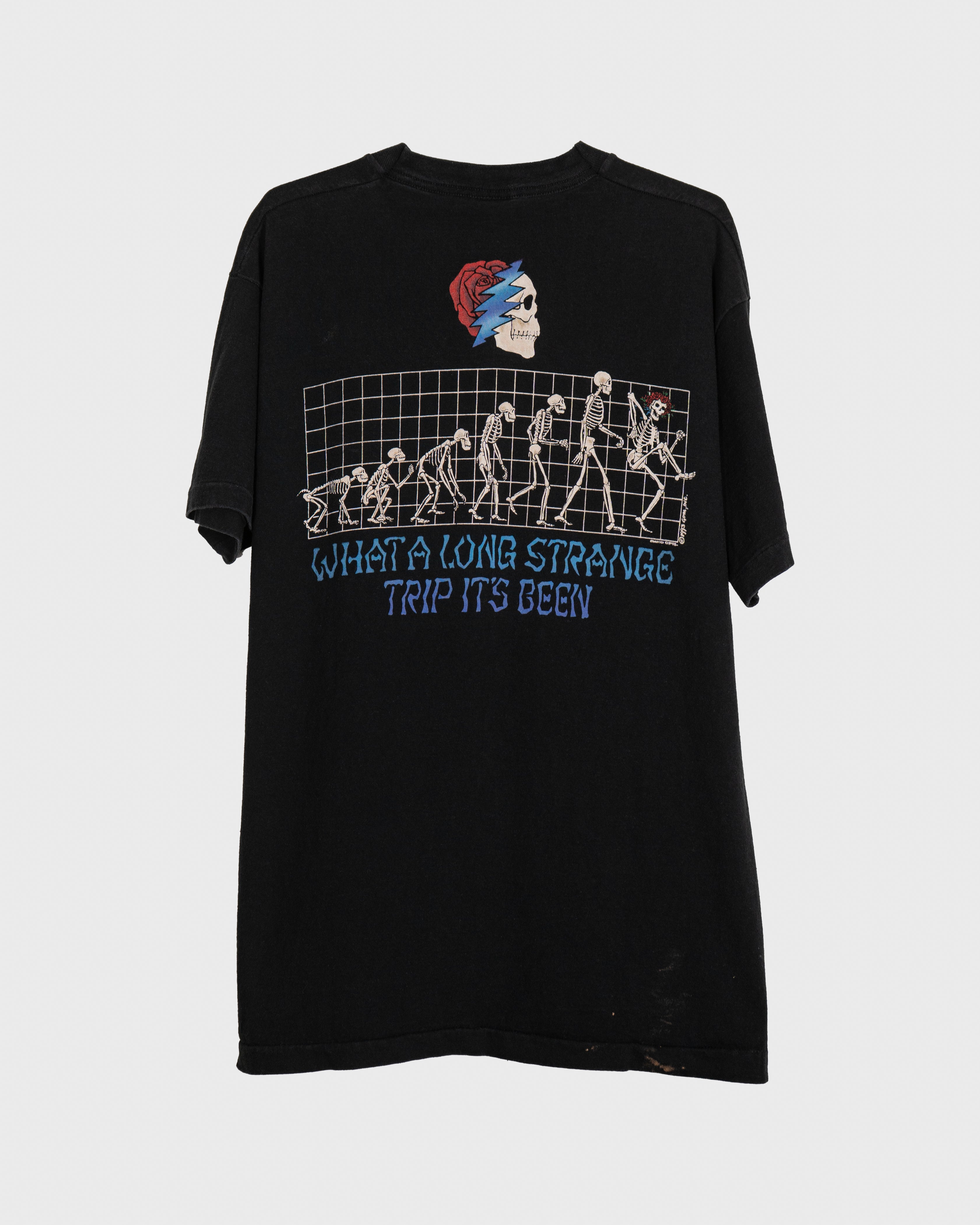 1993 Grateful Dead "Evolution"