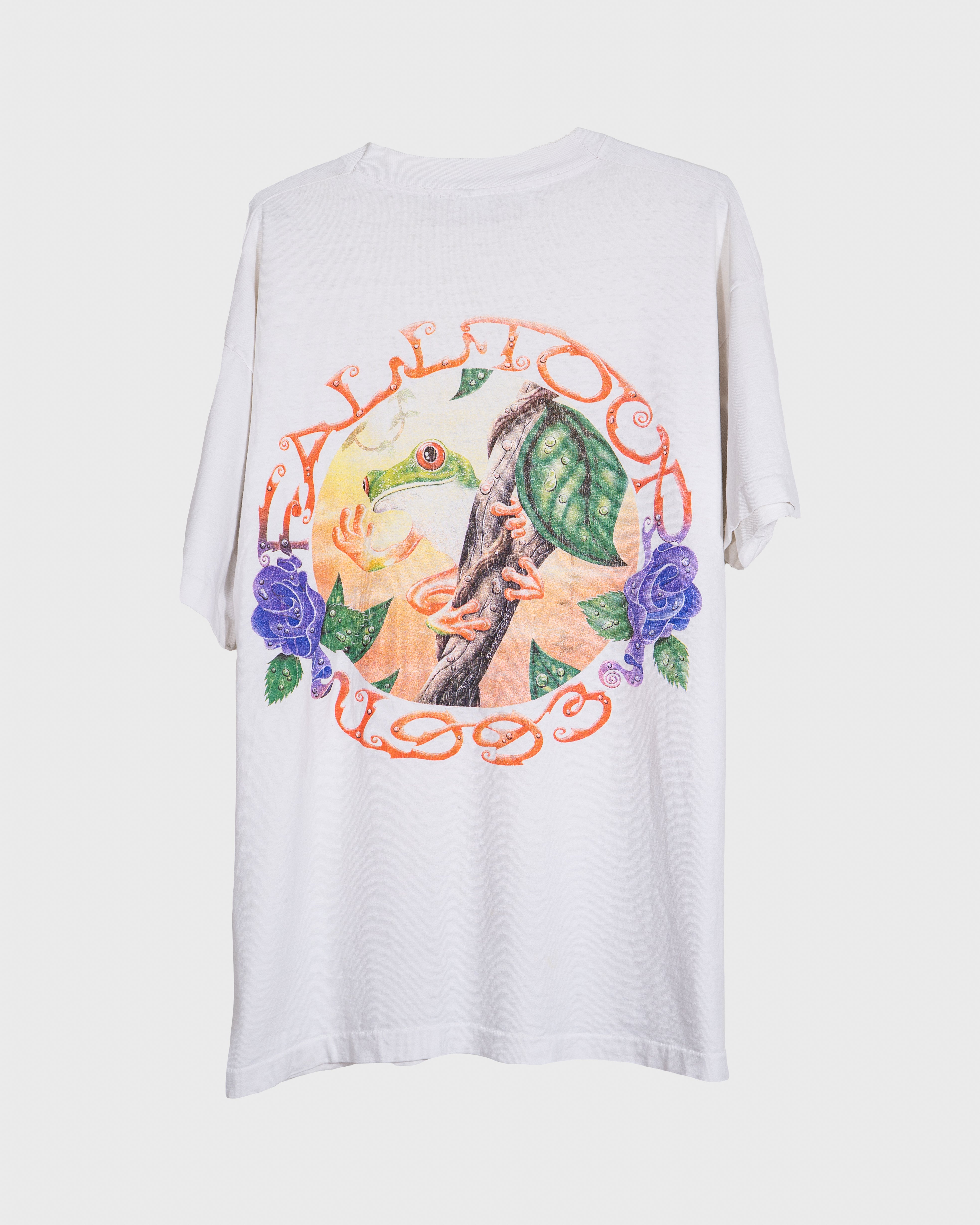1993 Grateful Dead "Fall Tour"