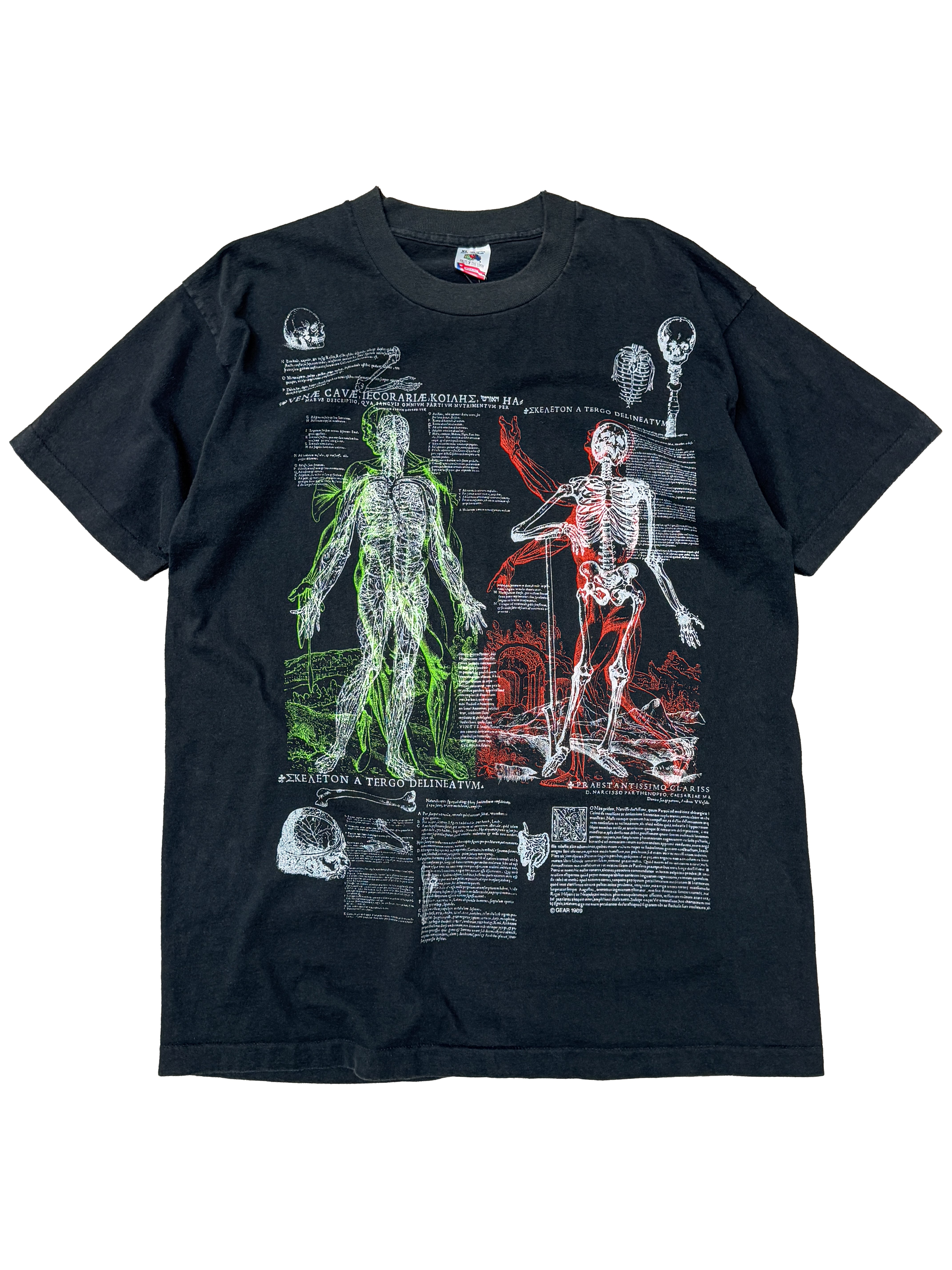 1989 Skeleton Anatomy (X-Large)