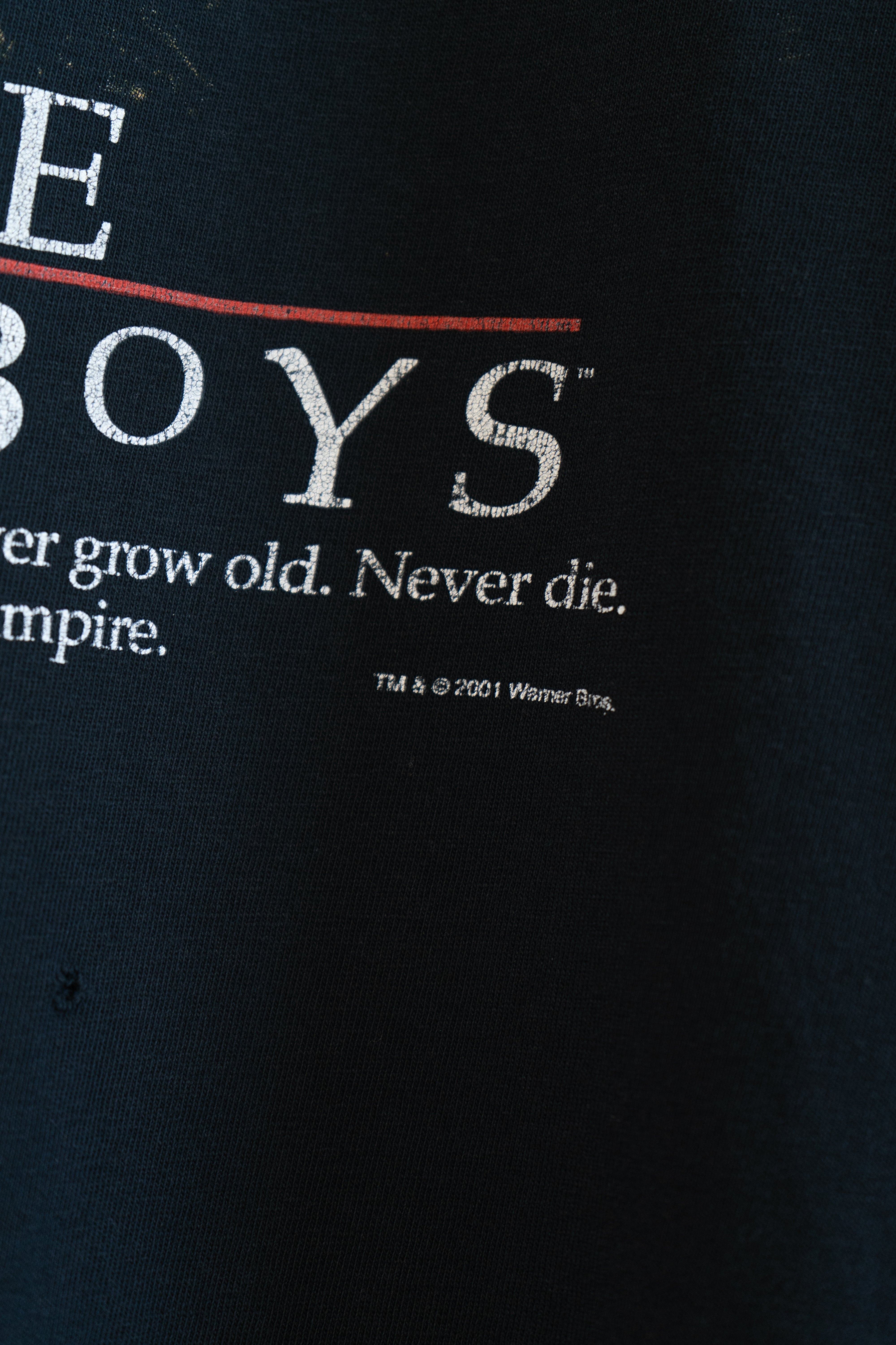 2001 The Lost Boys