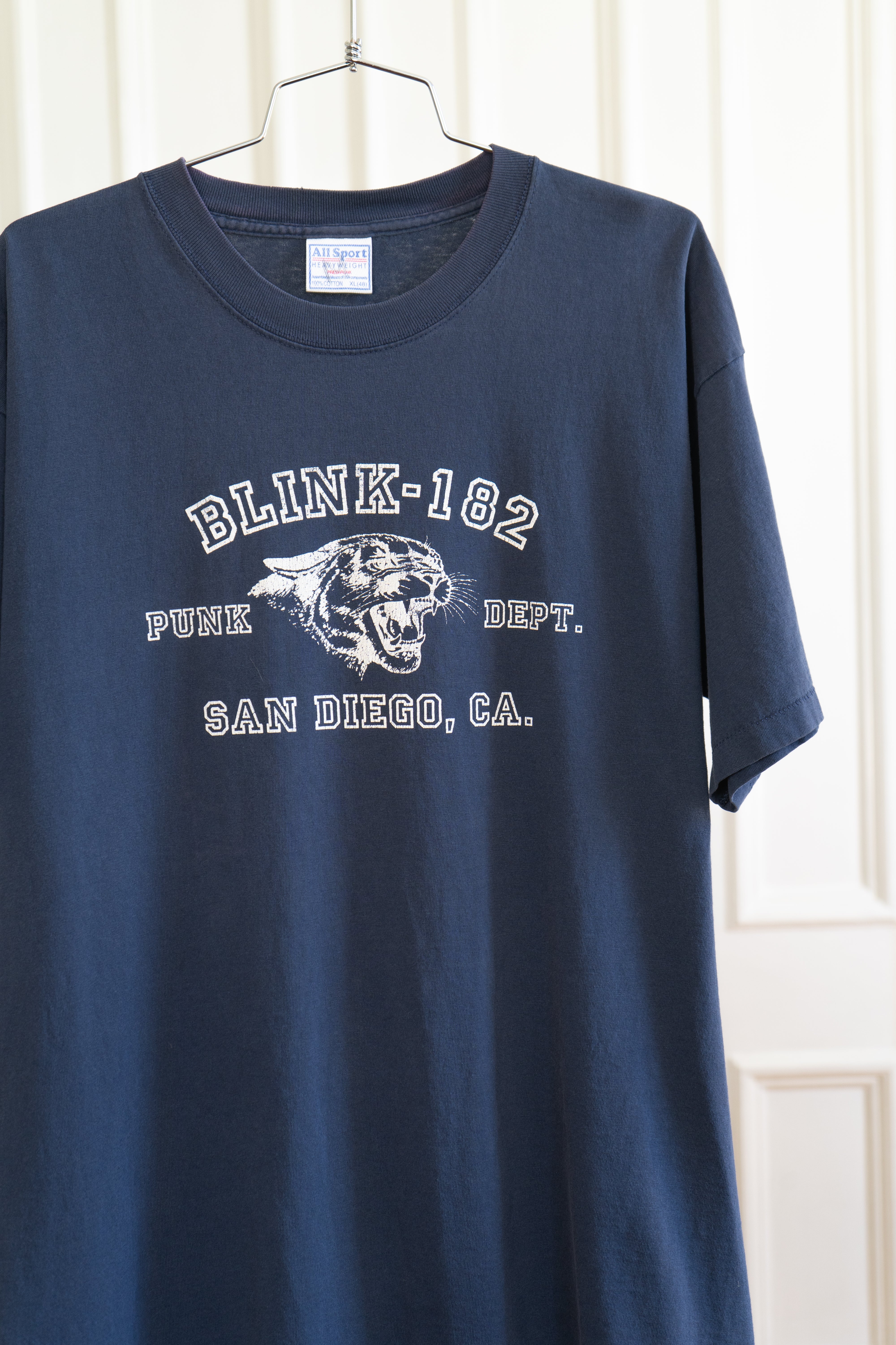 1990s Blink 182 "PE"