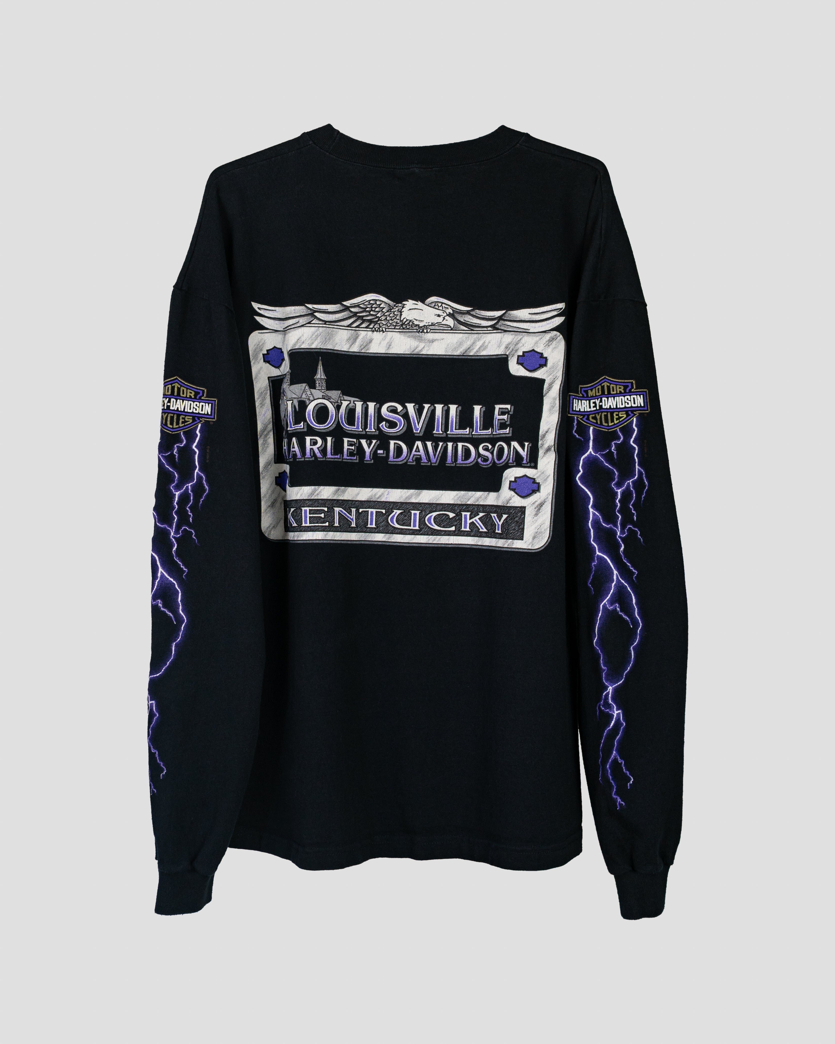 1995 Harley Davidson "Lightning"